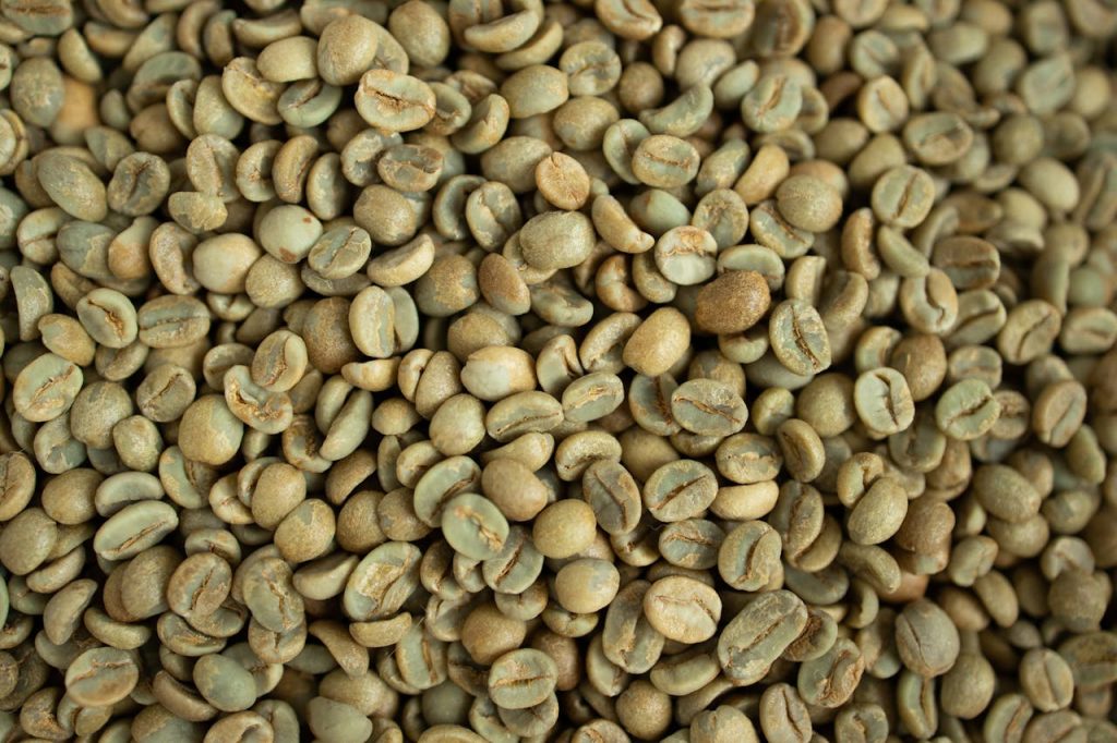 Close-up view of fresh, green coffee beans ideal for stock photography.