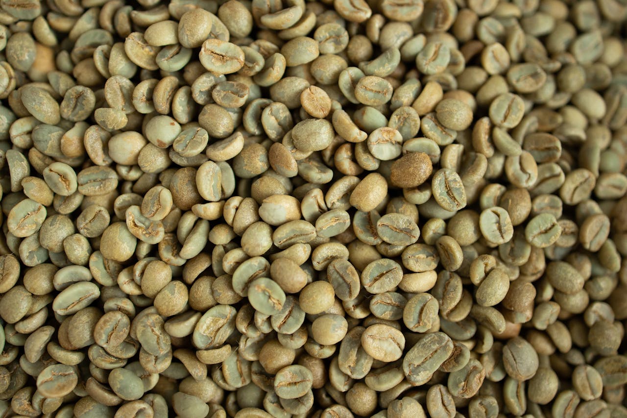 Close-up view of fresh, green coffee beans ideal for stock photography.